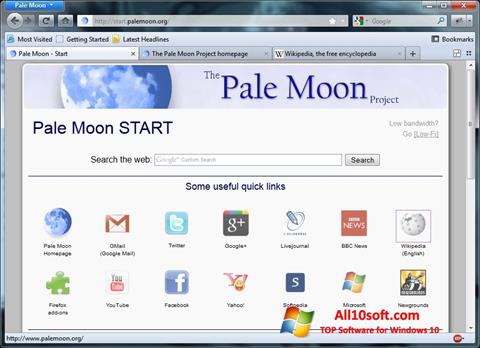 Ảnh chụp màn hình Pale Moon cho Windows 10